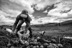 Αγροτική ερήμωση