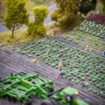 Νέοι και Πρωτογενής Τομέας: Το Χάσμα που Πρέπει να Γεφυρωθεί