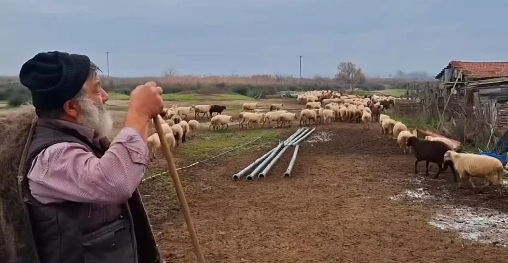 Θεολόγου Κωνσταντίνος