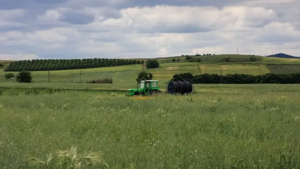Δεσμεύονται οι λογαριασμοί 12 αγροτών για παράνομες επιδοτήσεις – Στο στόχαστρο και γνωστός αγροτοσυνδικαλιστής
