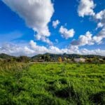 Η Ελλάδα βάζει τα… ανοιξιάτικα: Οι Αλκυονίδες επέστρεψαν – Λιακάδα, άπνοια και 19άρια