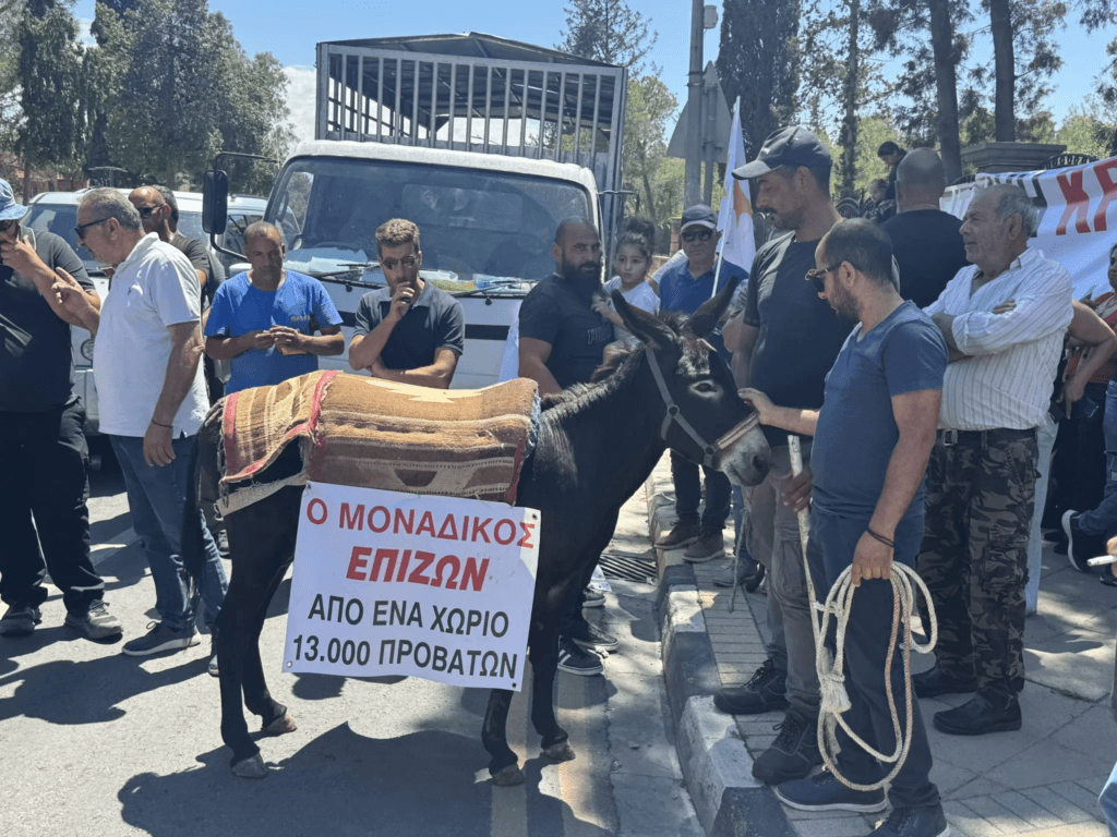Κτηνοτρόφοι: «Κατασχέσεις, δανεικά και οικο­γένειες με παι­διά που ανα­γκάζο­νται να αφήσουν τις σπου­δές τους» – Η Ελλάδα της ντροπής
