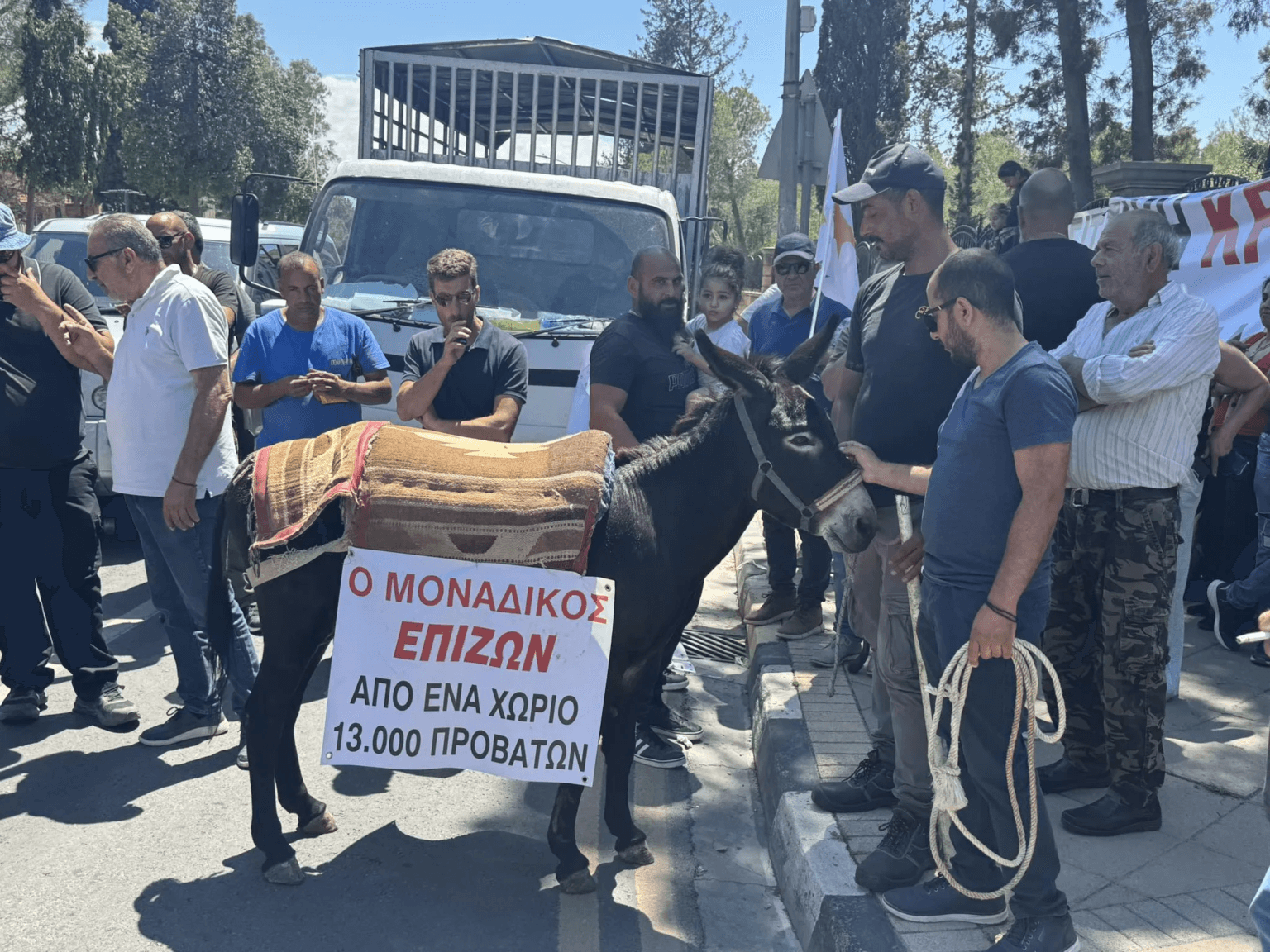 Κτηνοτρόφοι: «Κατασχέσεις, δανεικά και οικογένειες με παιδιά που αναγκάζονται να αφήσουν τις σπουδές τους» – Η Ελλάδα της ντροπής