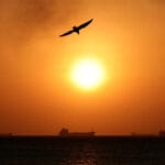 Bloomberg: Η Ευρώπη πληρώνει τον καύσωνα με ύφεση και δημοσιονομική έκρηξη – Grabbe: Οι κυβερνήσεις απέτυχαν