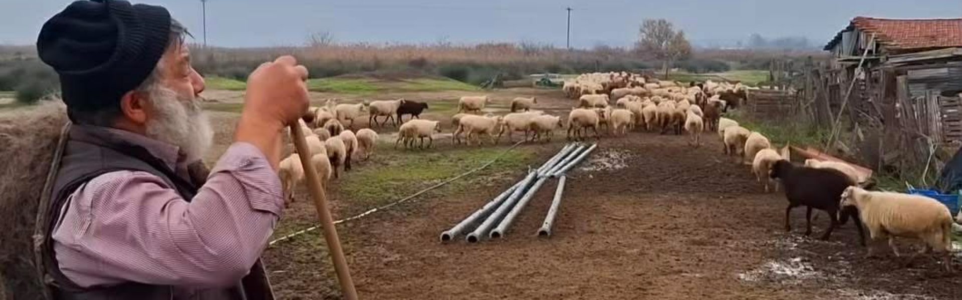 Θεολόγου Κωνσταντίνος