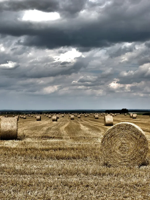 Insideworld | Αγροτική ενημέρωση. Αγροτική ερήμωση ενόψει: Η επιβίωση των λίγων, η έξοδος των πολλών
