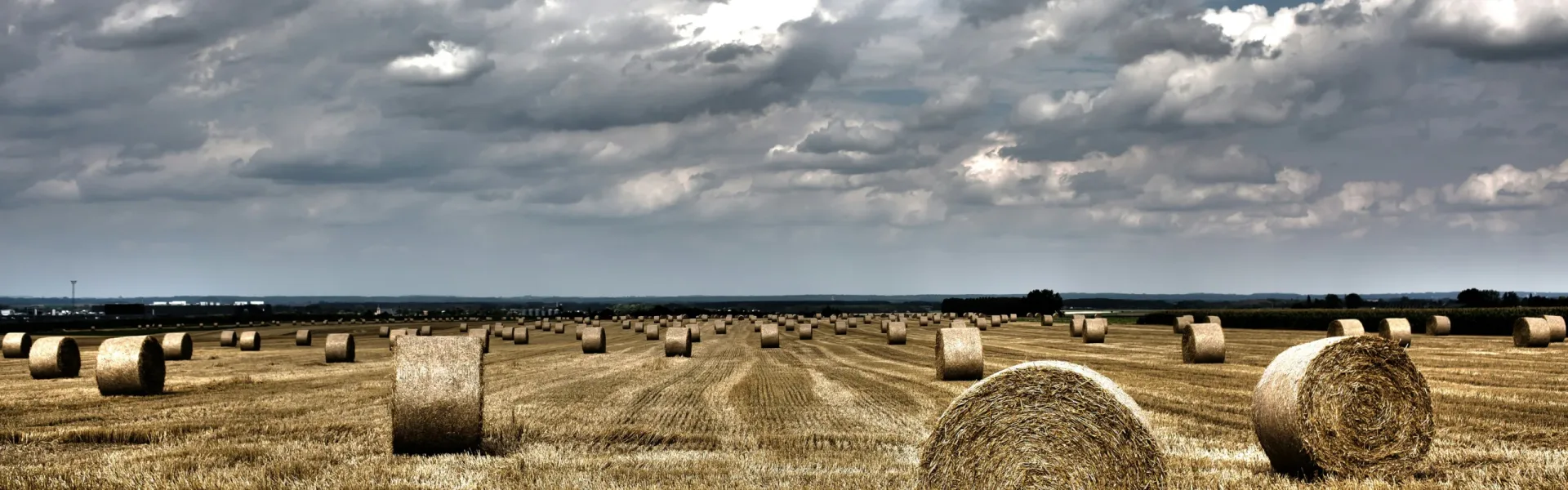 Insideworld | Αγροτική ενημέρωση. Αγροτική ερήμωση ενόψει: Η επιβίωση των λίγων, η έξοδος των πολλών