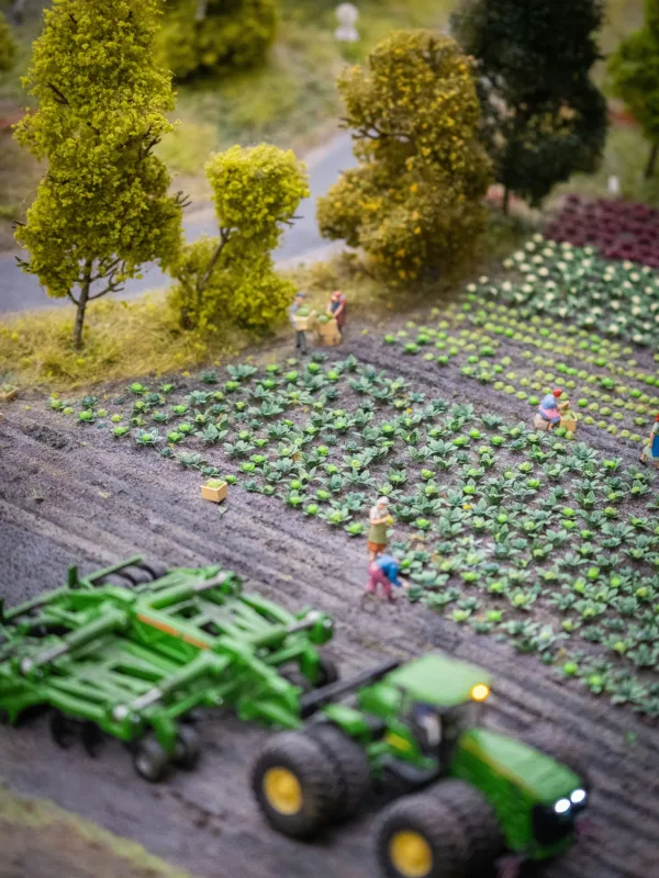 Insideworld | Αγροτικά Νέα. Νέοι και Πρωτογενής Τομέας: Το Χάσμα που Πρέπει να Γεφυρωθεί